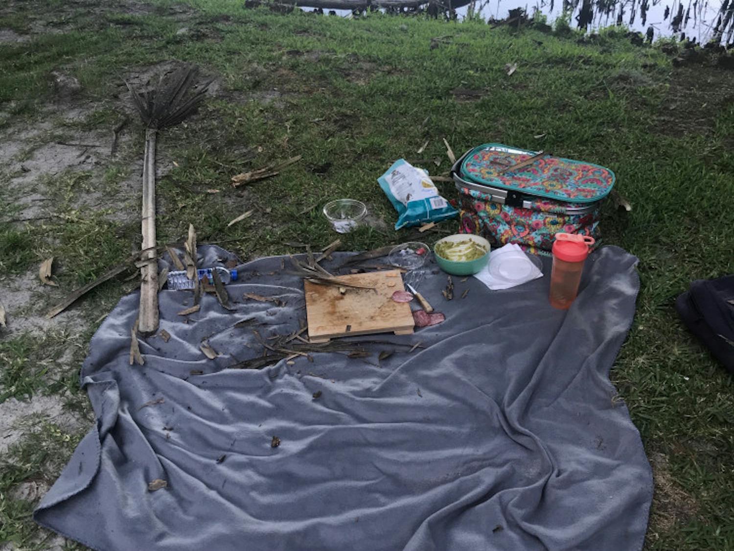 Taylor Forte, a 21-year-old UF civil engineering senior, prepared a picnic with her fiancé, Trevor Walters, last Thursday evening. After about 30 minutes, an alligator came out of Lake Alice and consumed their entire set up