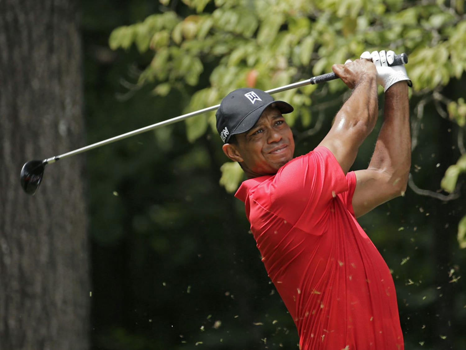 FILE - In this Aug. 23, 2015, file photo, Tiger Woods watches his tee shot on the second hole during the final round of the Wyndham Championship golf tournament at Sedgefield Country Club in Greensboro, N.C. Tiger Woods has posted a video of him swinging a 9-iron in a golf simulator. His agent says the video was posted to rebut rumors on social media that he had taken a turn for the worse following two back surgeries last fall. Mark Steinberg of Excel Sports Management said Monday, Feb. 22, 2016, that the rumors were ridiculous. (AP Photo/Chuck Burton, File)