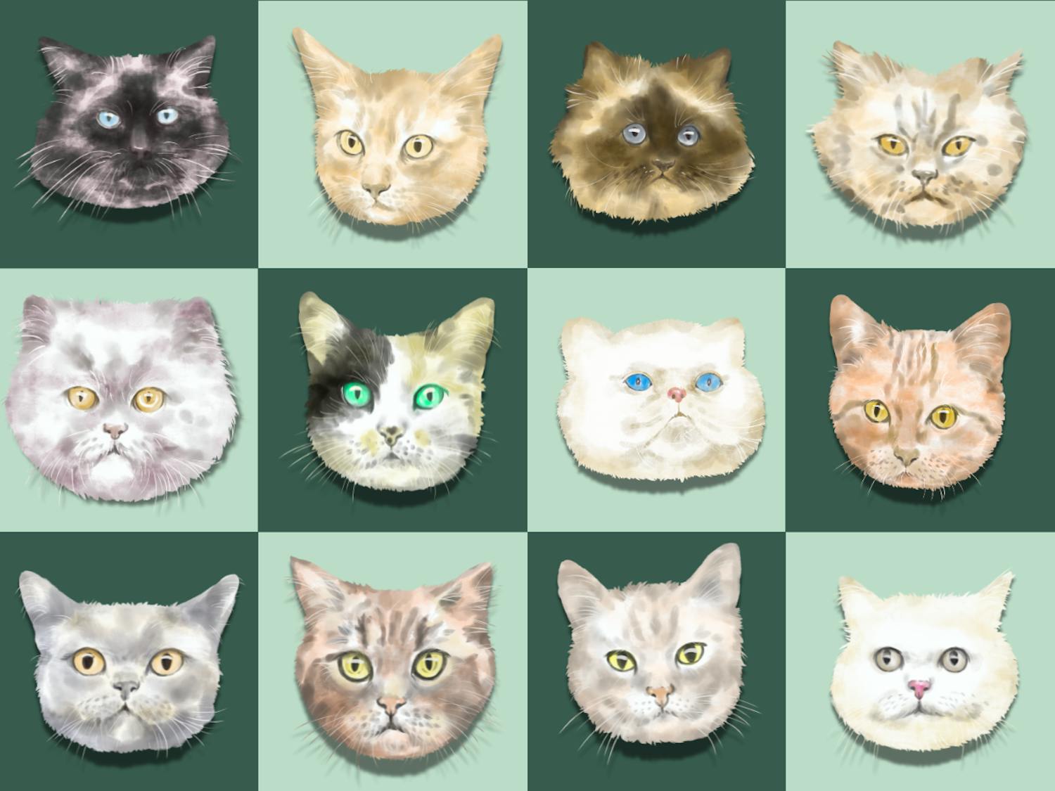 Operation Catnip reaches 100,000 spay and neuter surgeries in Gainesville, FL.