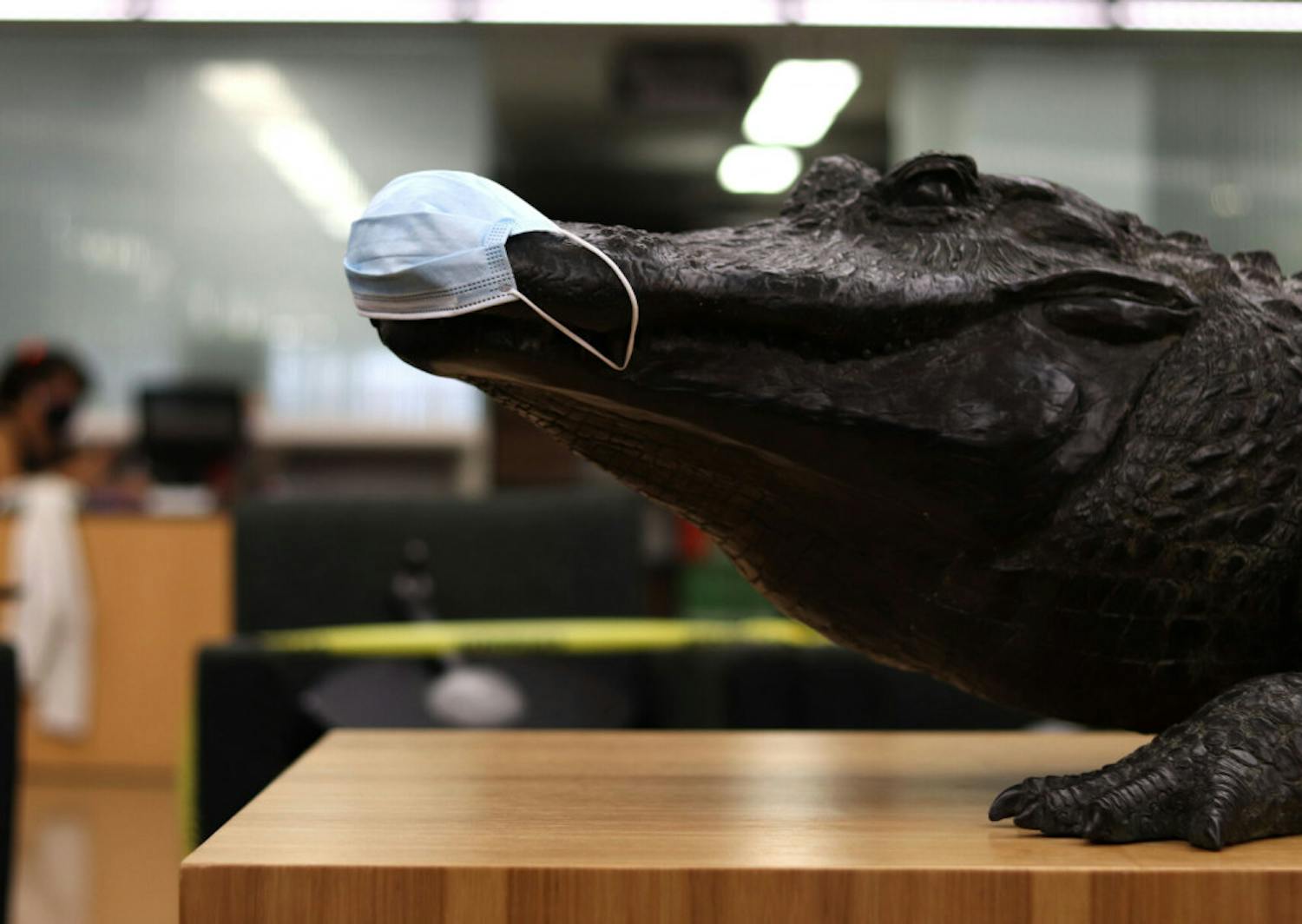 A mask is seen on the "Focused Attention" gator statue in Library West on Friday, Sept. 11, 2020. (Lauren Witte/Alligator Staff)