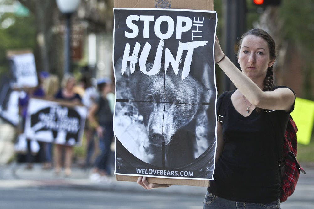 <p>Karrie Ford, 27, protests against the Florida bear hunt at the Stop the Bear Hunt Rally at the intersection of Main Street and University Avenue on Oct. 23, 2015. "The number of bears in Florida versus the number of hunting permits sold just doesn't make sense," she said.</p>