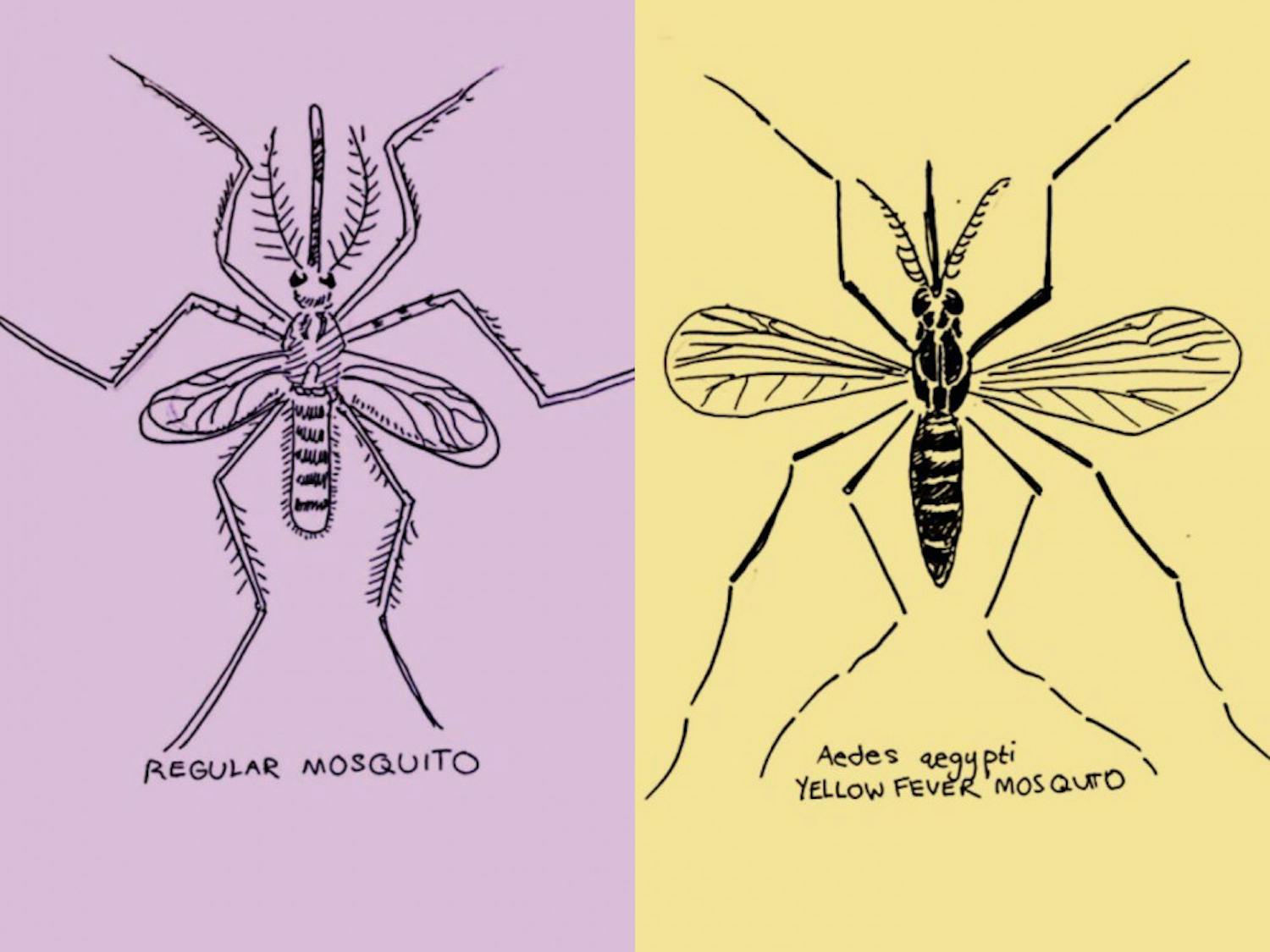 Yellow fever mosquitoes can spread yellow fever, dengue, chikungunya and Zika viruses.&nbsp;