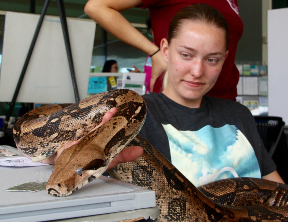 Megan Ellis holds Naomi, an 11-year-old boa constrictor, on Wednesday. The 20-year-old UF wildlife conservation and ecology sophomore promoted the UF Wildlife Society club at the Sustainability Showcase. 