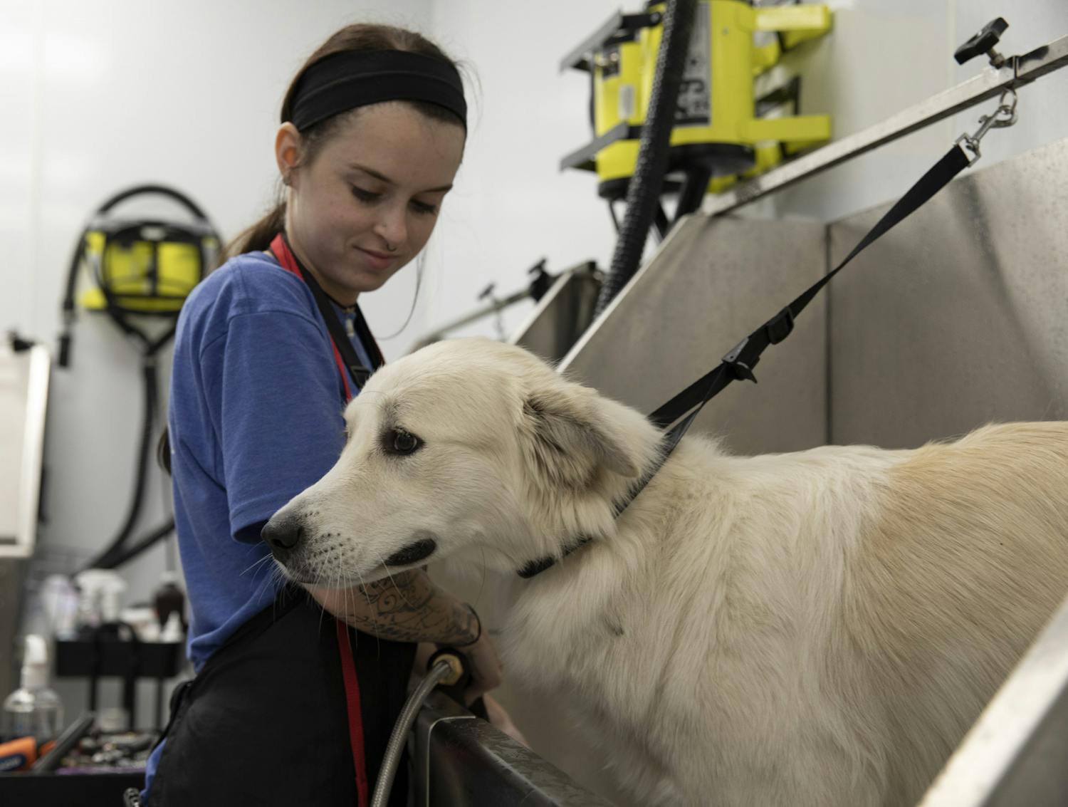 Sarah Headley, a pet groomer at Scenthound, sprays water on Daisy, the dog, on Tuesday, May 25, 2021.
