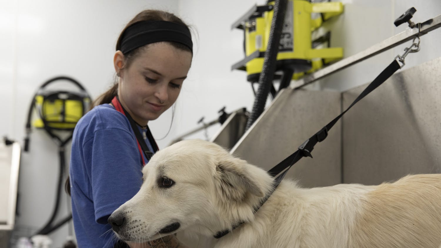 Sarah Headley, a pet groomer at Scenthound, sprays water on Daisy, the dog, on Tuesday, May 25, 2021.