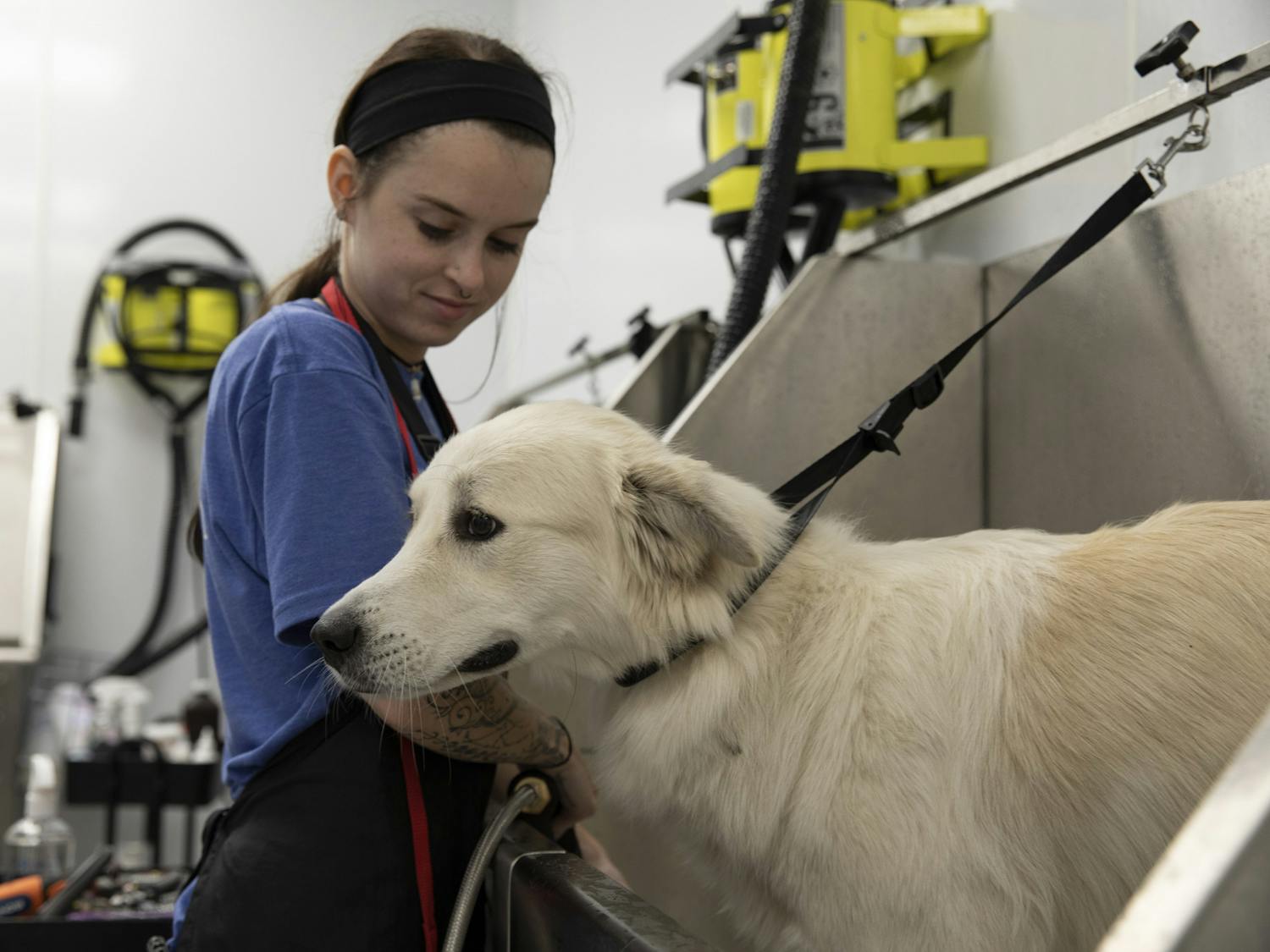 Sarah Headley, a pet groomer at Scenthound, sprays water on Daisy, the dog, on Tuesday, May 25, 2021.