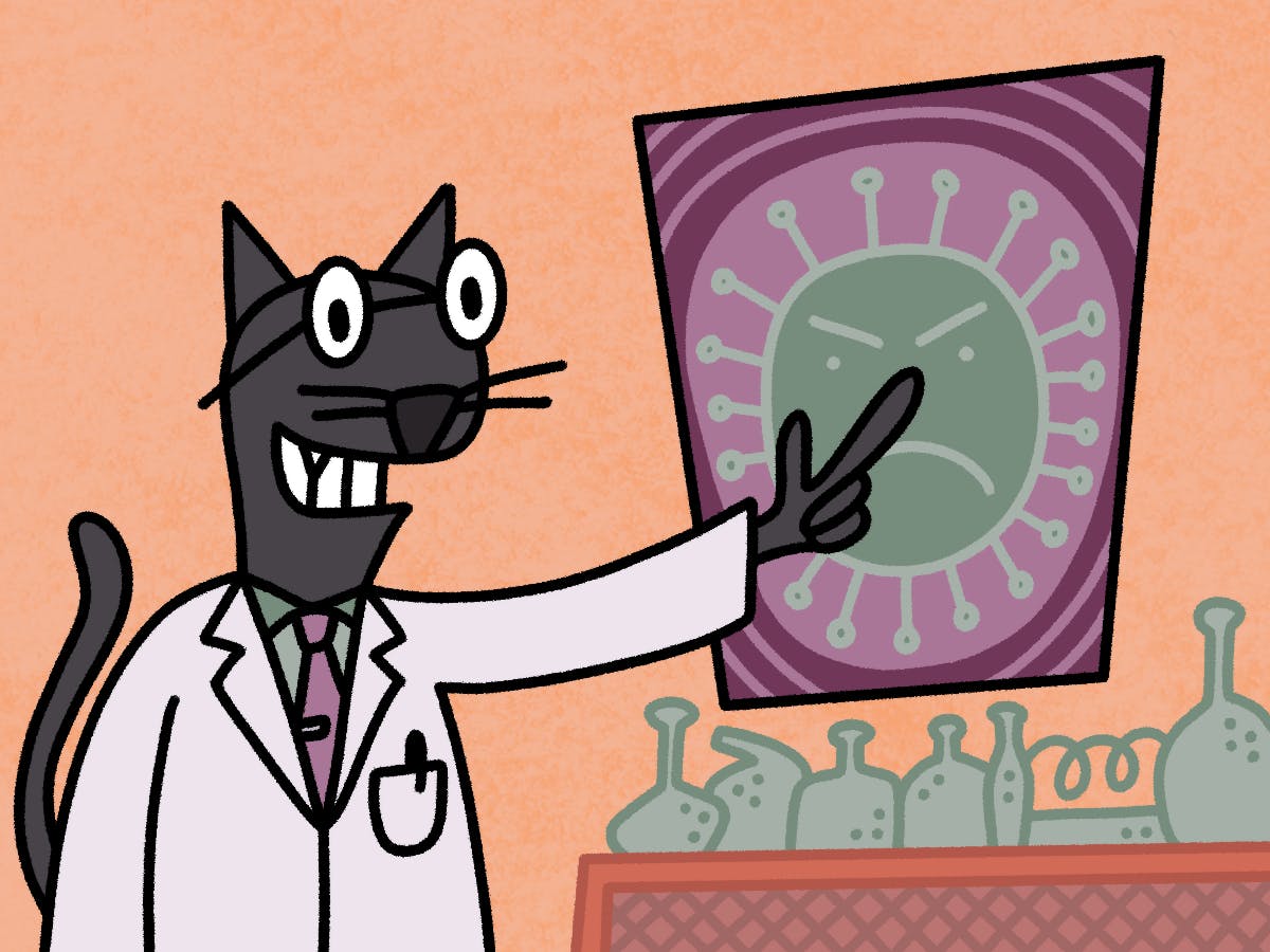 A cat named Pepper has proven to be an unlikely research assistant for virologists at the University of Florida in their efforts to identify rare diseases. 