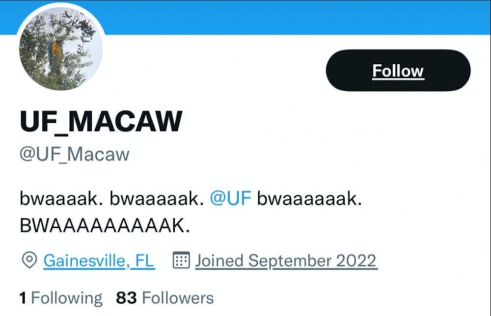 <p>After UF scientists encountered the macaw, a Twitter account popped up ﻿with the username @UF_Macaw.</p>