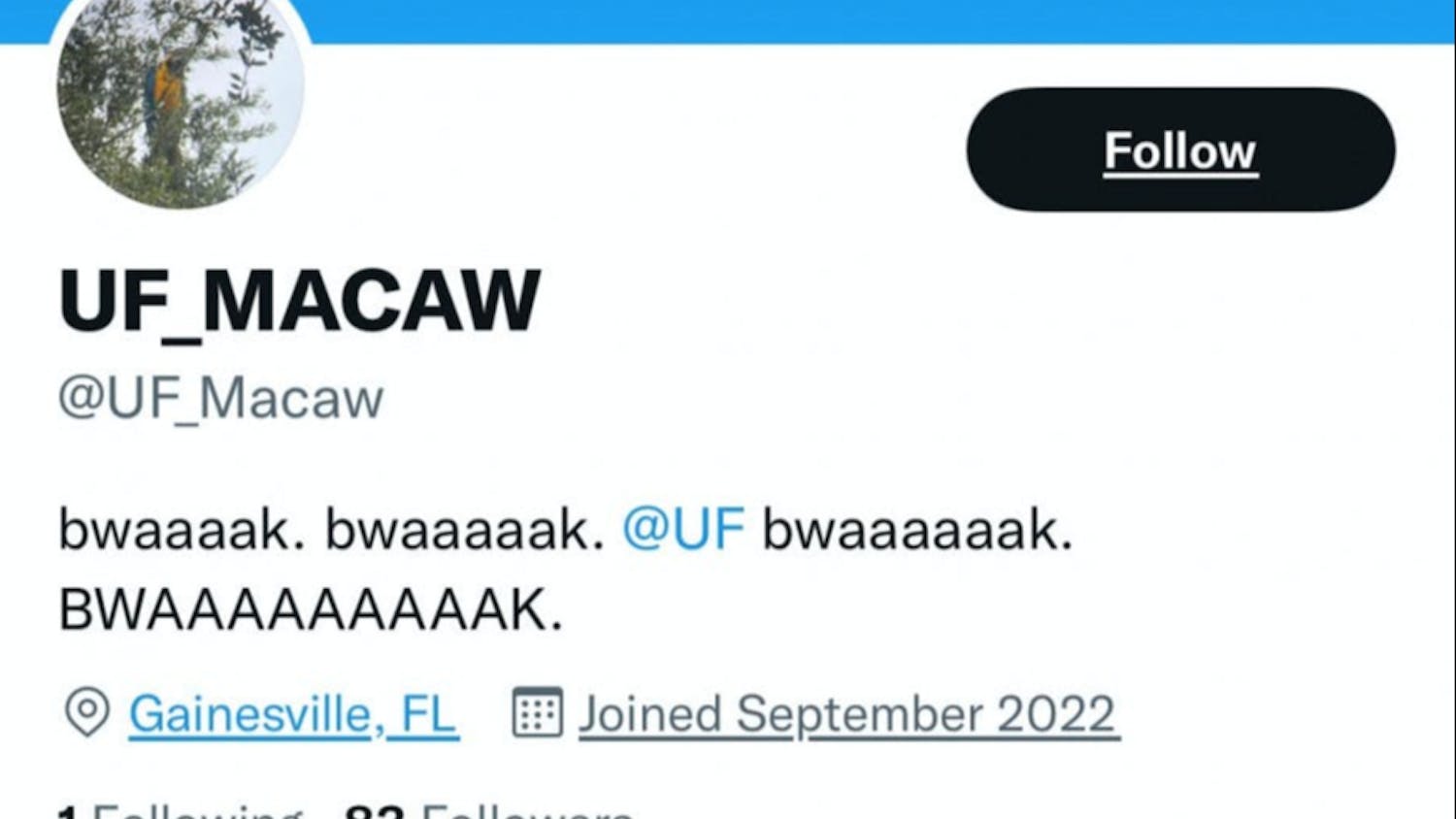 After UF scientists encountered the macaw, a Twitter account popped up ﻿with the username @UF_Macaw.
