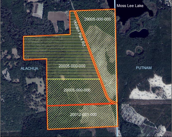 The preservation encompasses almost 600 acres and is located on the Putnam County line near Lochloosa Lake, said Sandra Vardaman, the land conservation program supervisor for the county’s Parks and Conservation Lands Program.