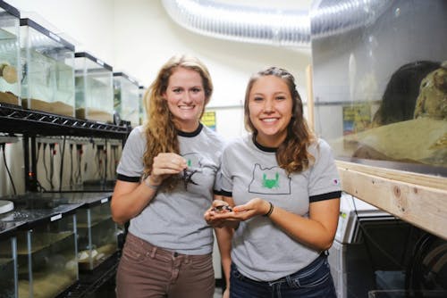  Seniors Katie Bates and Tai White-Toney hold crabs in their Swindell lab.Photo by Becca Tabor.