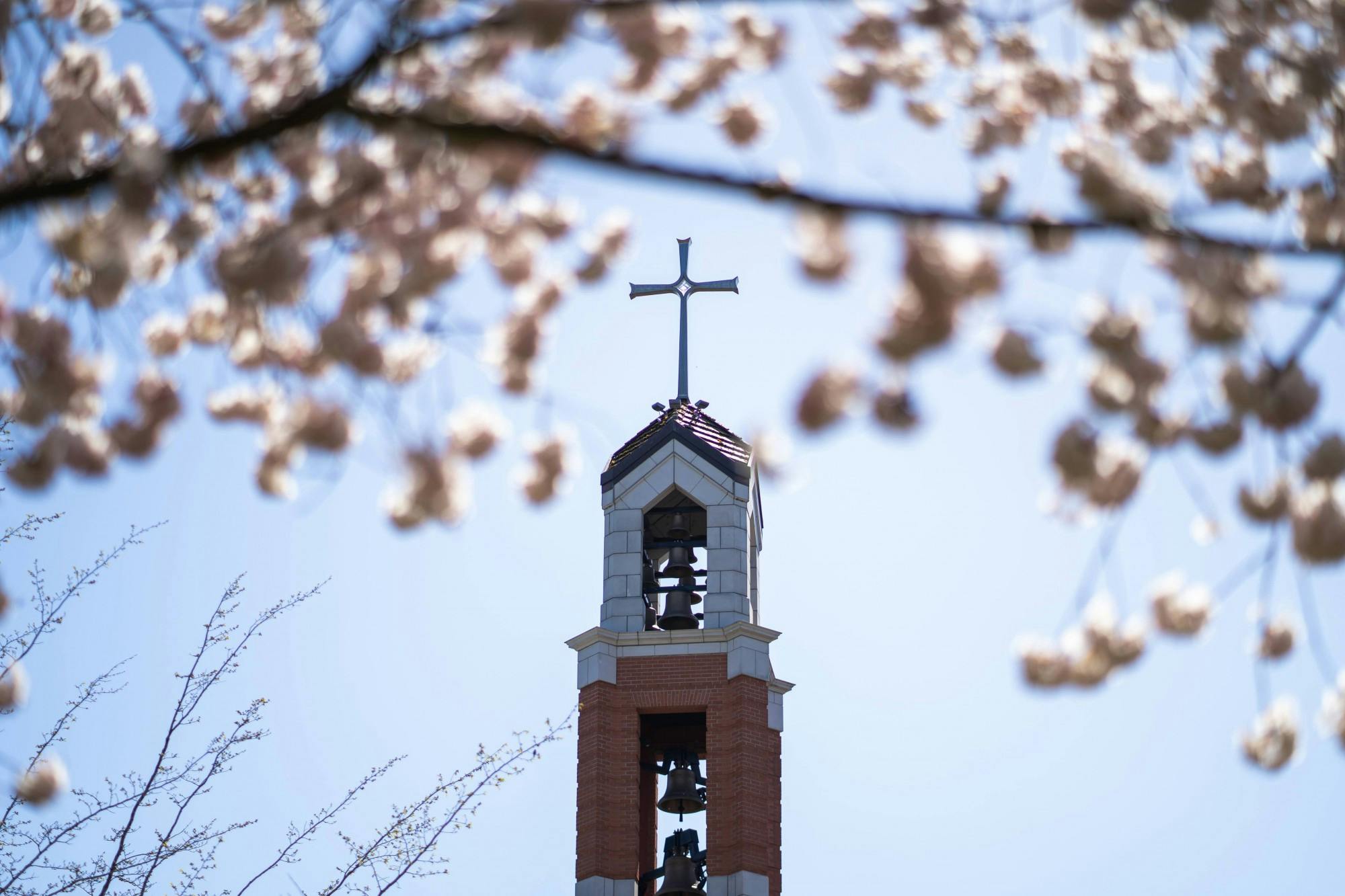 Diversity Inclusion Programming at UP will be offering several meaningful events for the UP community. 