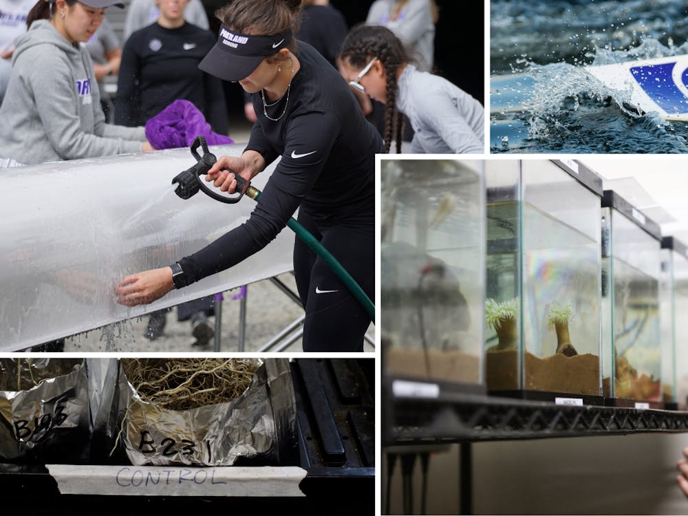 UP's boathouse is set to open up to the rowing team on Oct. 30