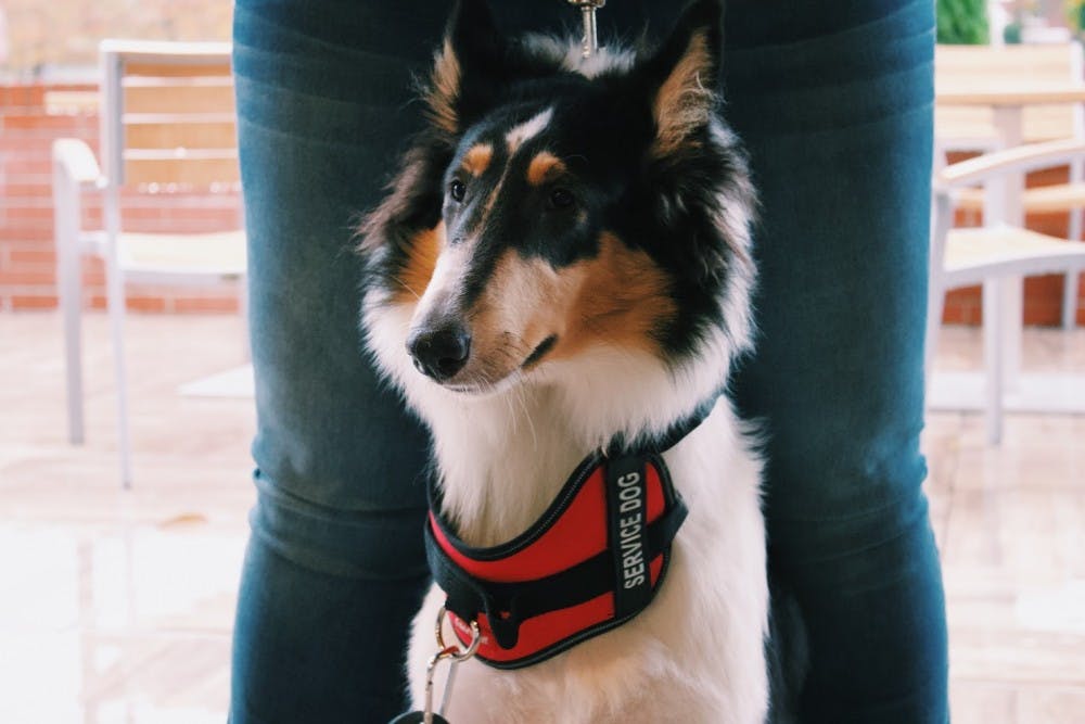 Emotional Support Animals 1