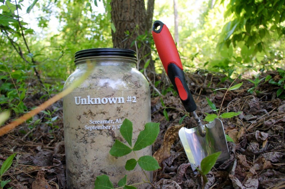 Civil Rights Immersion