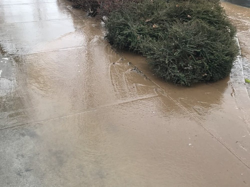 Flooding in the East Quad is due to a "water main break" according to Vice President for Operations Jim Ravelli.