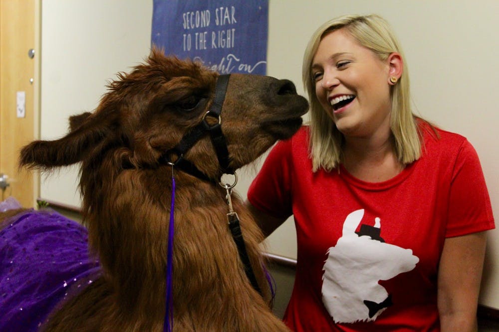 Rojo Smiles with Trainer