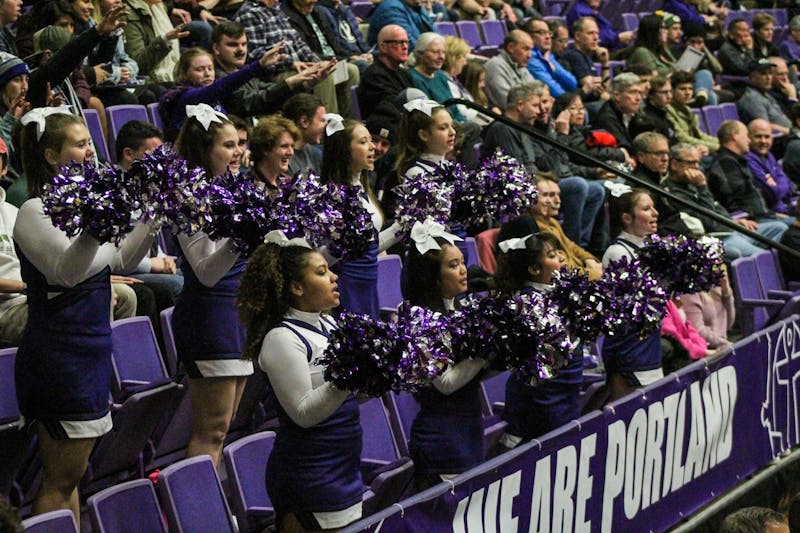 Cheer squad fosters spirit for fans, players, Sports