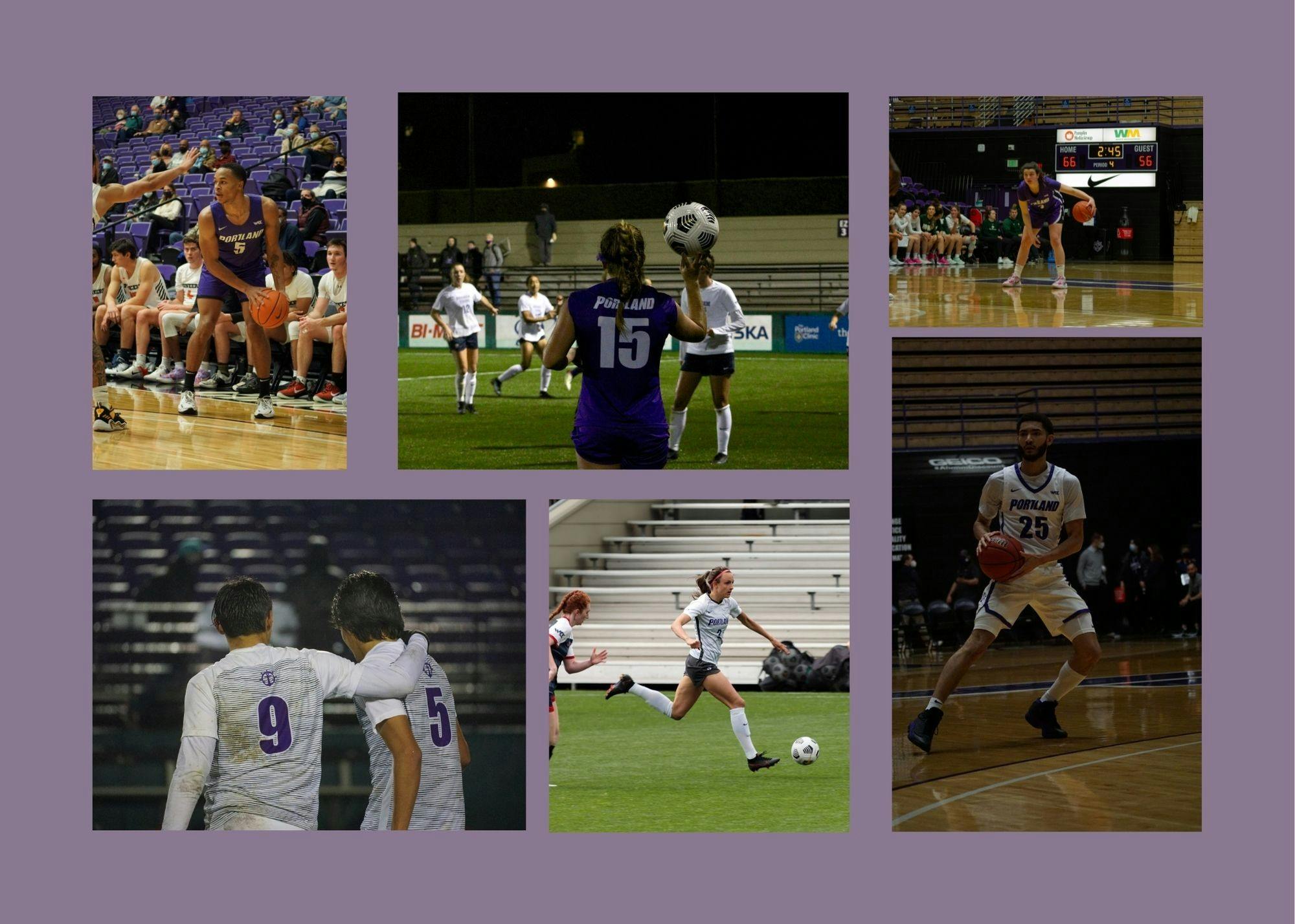 Untitled design (24).jpg