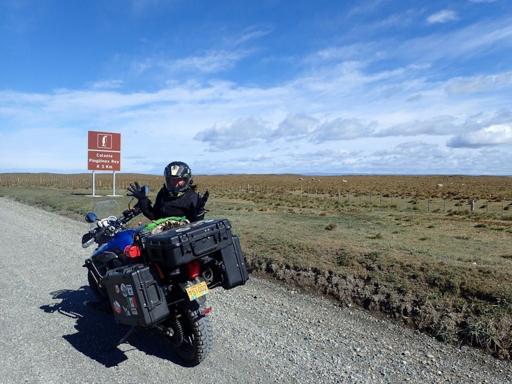 In Tierra del Fuego, Chile, Prestholdt is almost to the colony of king penguins. Photo courtesy of Tara Prestholdt.