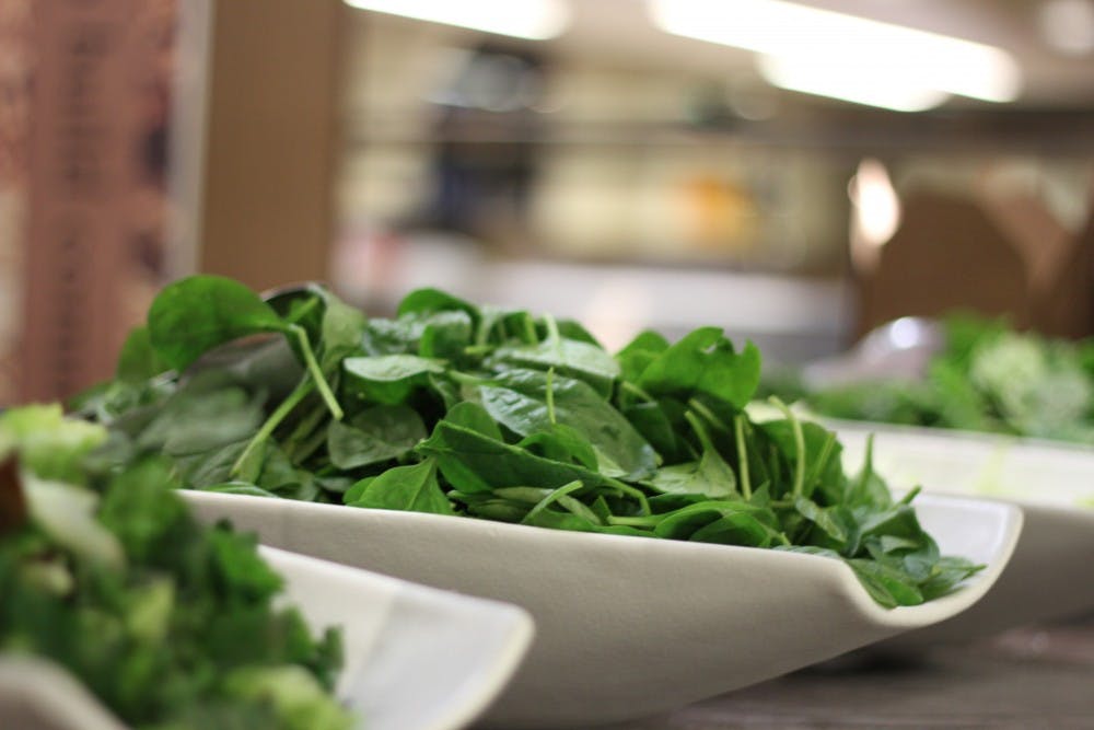  Photo by Hannah Baade.