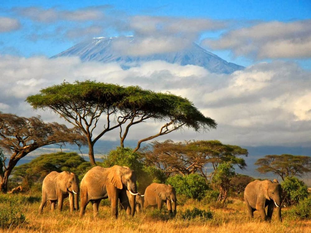 Students on the Tanzania Immersion will possibly go on an excursion to Mt.
Kilimanjaro next summer. Photo Courtesy of www.export.gov