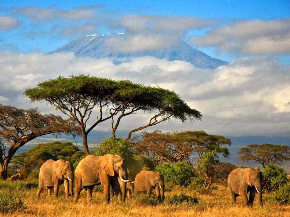 Students on the Tanzania Immersion will possibly go on an excursion to Mt.&nbsp;
Kilimanjaro next summer. Photo Courtesy of www.export.gov