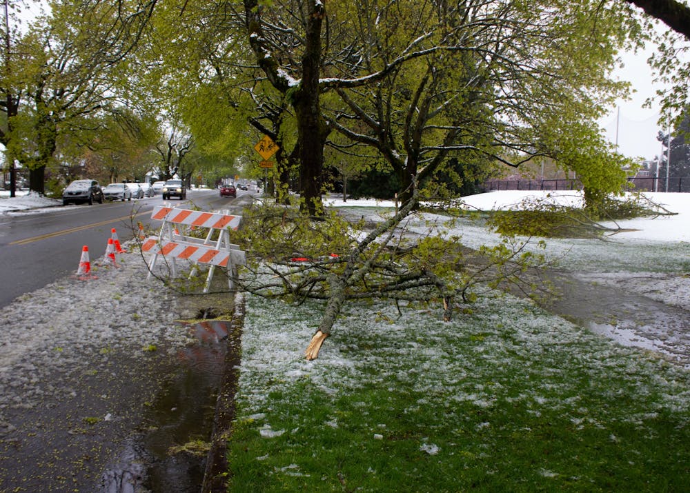Fallen tree branches on Willamette outside of Merlo Field. Due to inclement weather, in-person classes will not be held today.