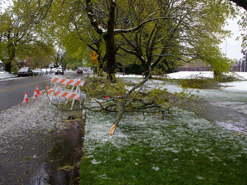 Fallen tree branches on Willamette outside of Merlo Field. Due to inclement weather, in-person classes will not be held today.