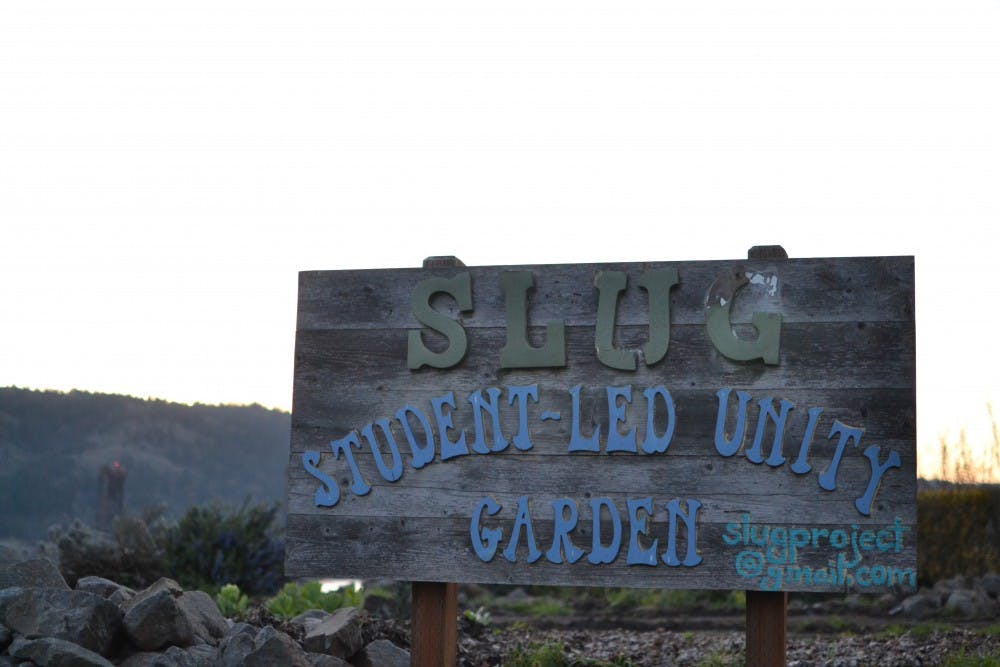  Photo by Thomas Dempsey.