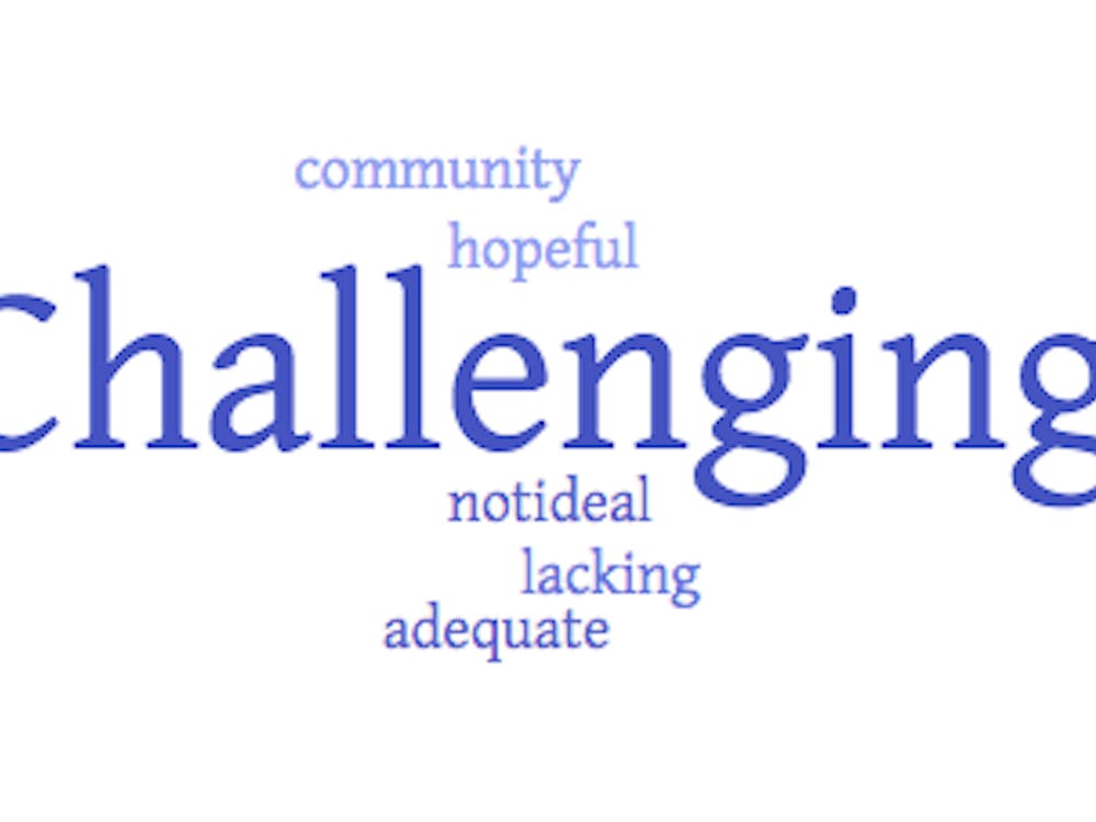 When asked to describe online classes in one word, these were professors' responses. The bigger the word, the more frequently it was mentioned. This image was created using worditout.com.