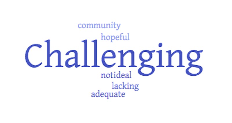 When asked to describe online classes in one word, these were professors' responses. The bigger the word, the more frequently it was mentioned. This image was created using worditout.com.