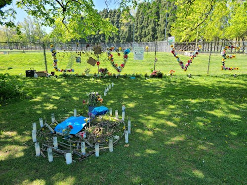 UP nursing students and faculty see aftermath of Lents Park police shooting