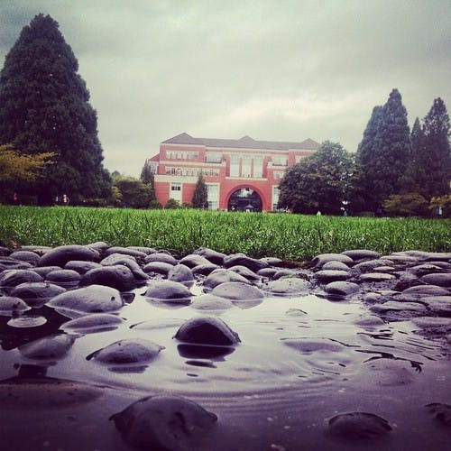  Courtesy of UP marketing dept.