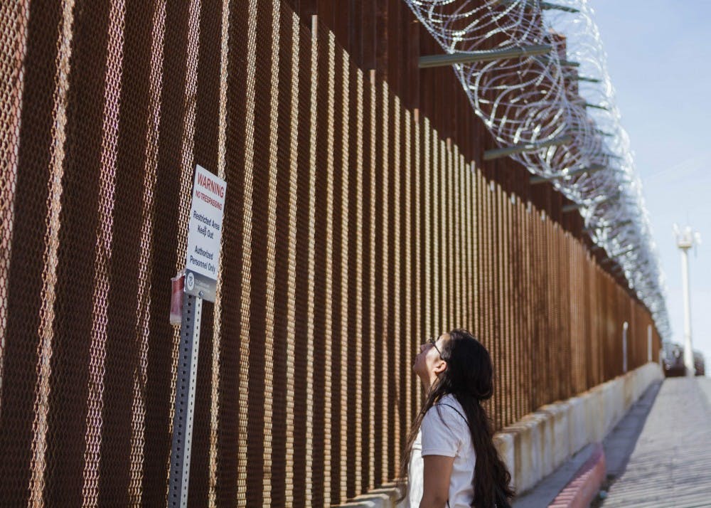 brown barbed wire border