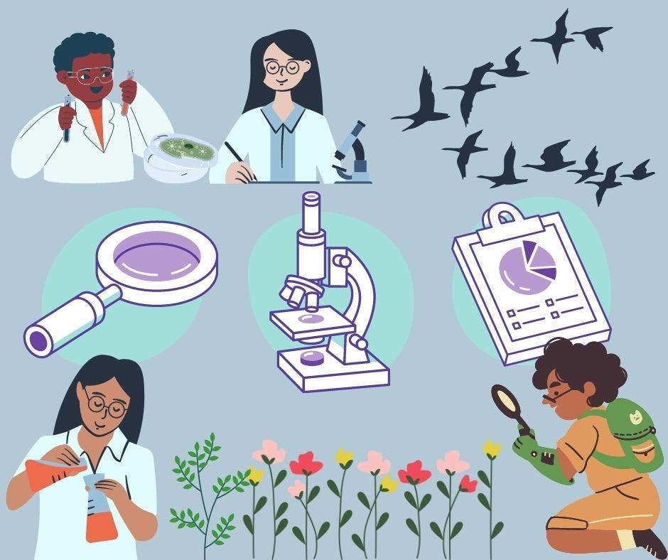 Students participated in niche research projects guided by professors this summer.Canva by Lisa Erenstein.