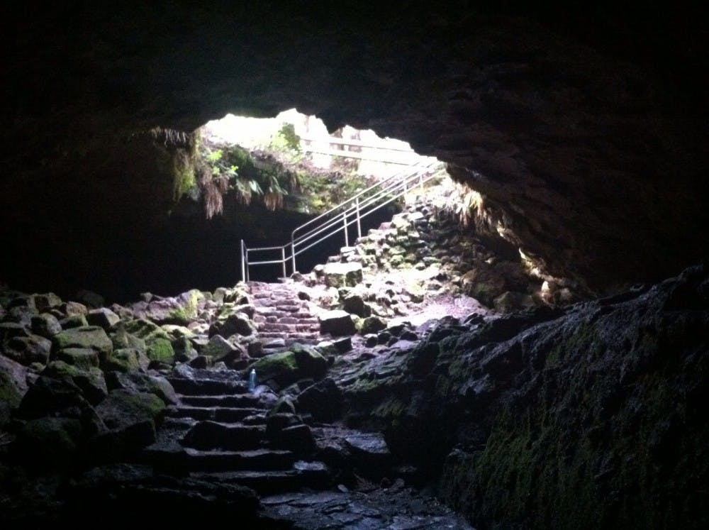  Photo by Emily Neelon