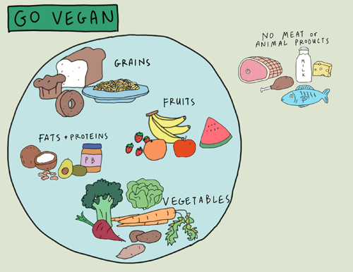 Vegetarian Diet Meaning