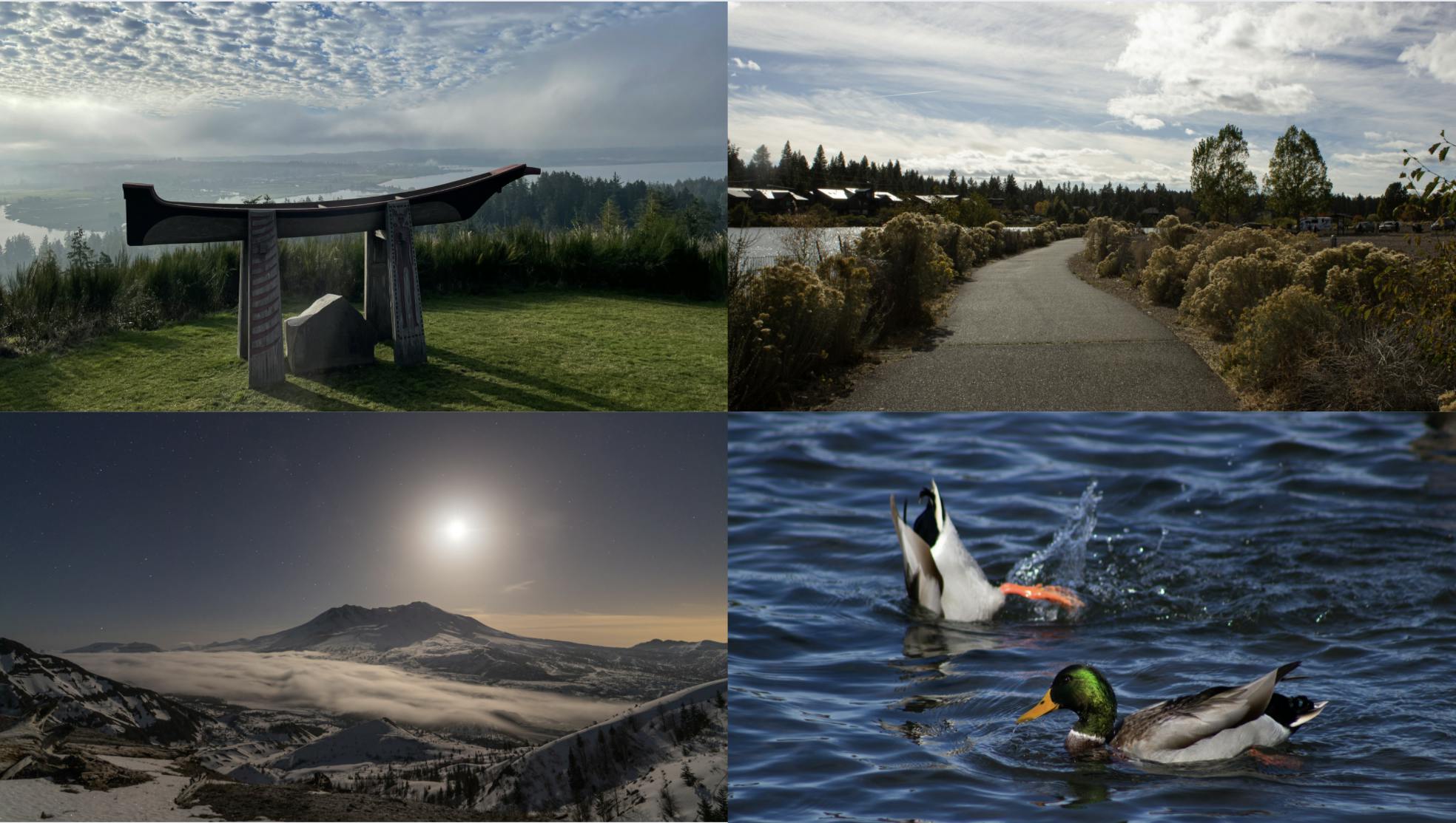 Screen Shot 2022-02-23 at 1.41.32 AM.png