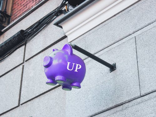 Precarious UP Piggy Bank.jpg