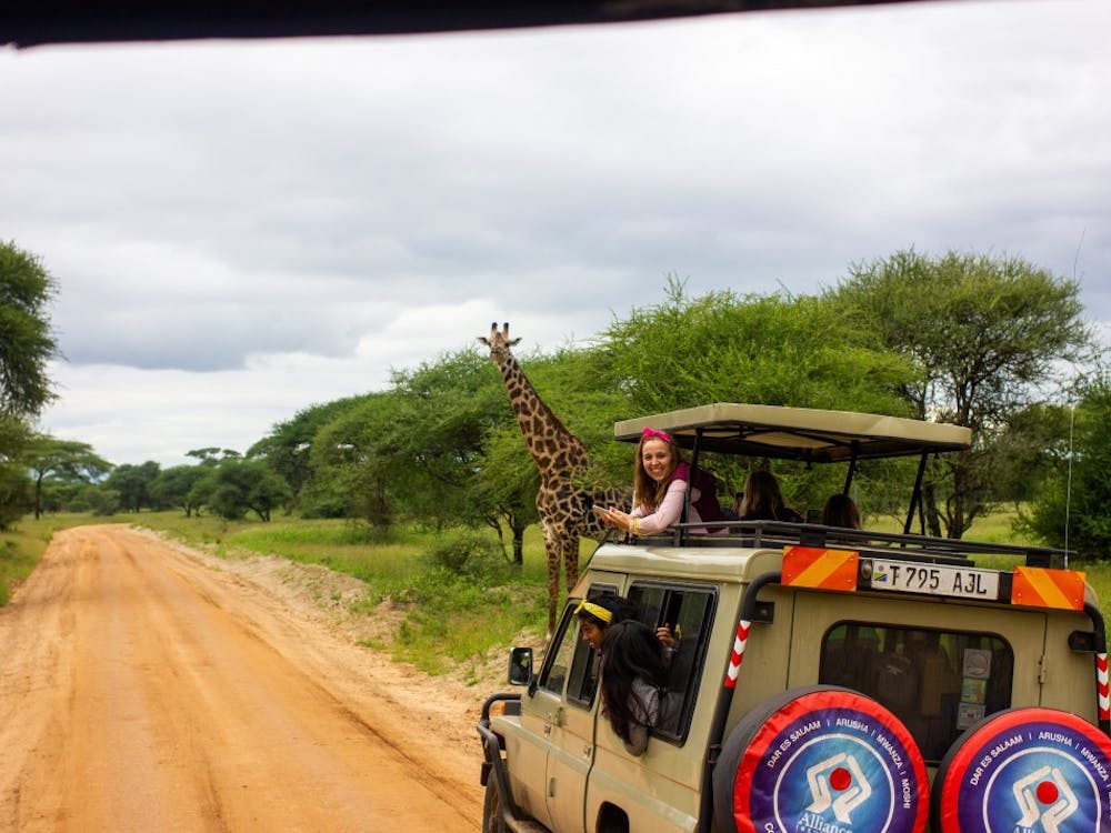Immersion participants spot a giraffe while on safari in Tanzania.