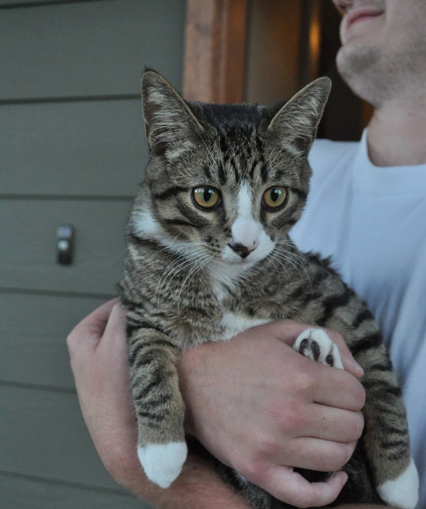 Kelly&nbsp;Schwyhart&nbsp;holds up his roommate Justin Aguilar's cat,&nbsp;Lonso.&nbsp;