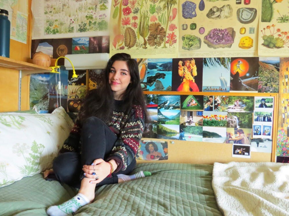 From the ceiling to the floor, Freshman Catherine Cieminski's walls are completely covered in posters and handmade collages.