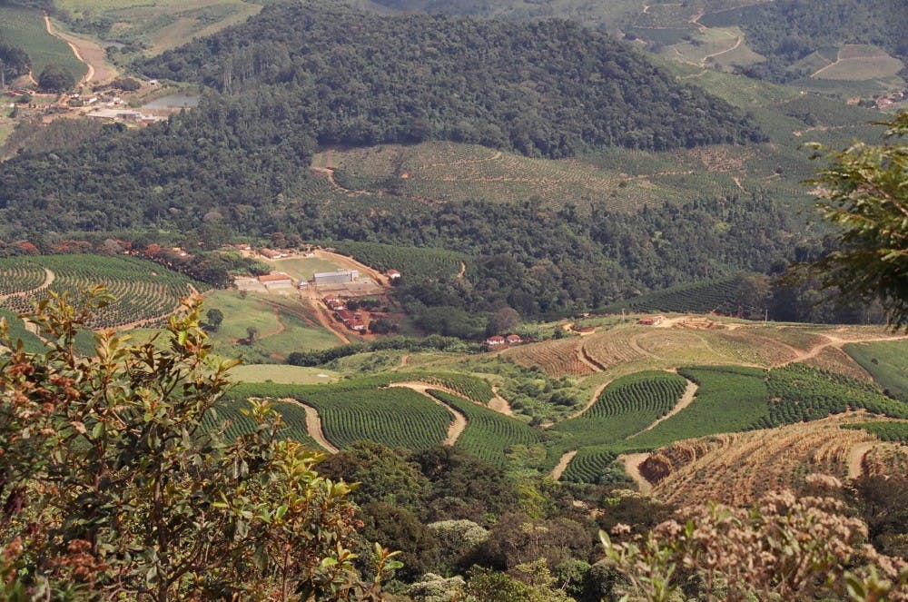  Nossa Familia coffee is now being served on campus. Carneiro grew up on his family's coffee farm in Brazil. Photos courtesy of Nossa Familia.