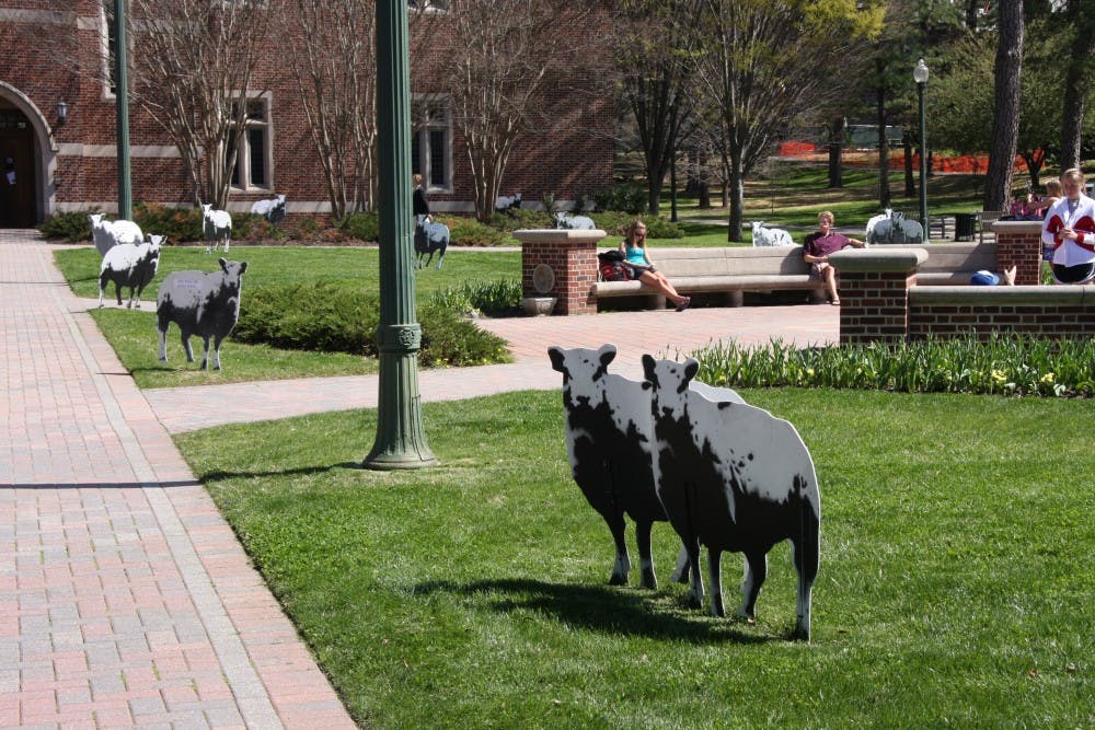 Sheep set up in Jepson Quad