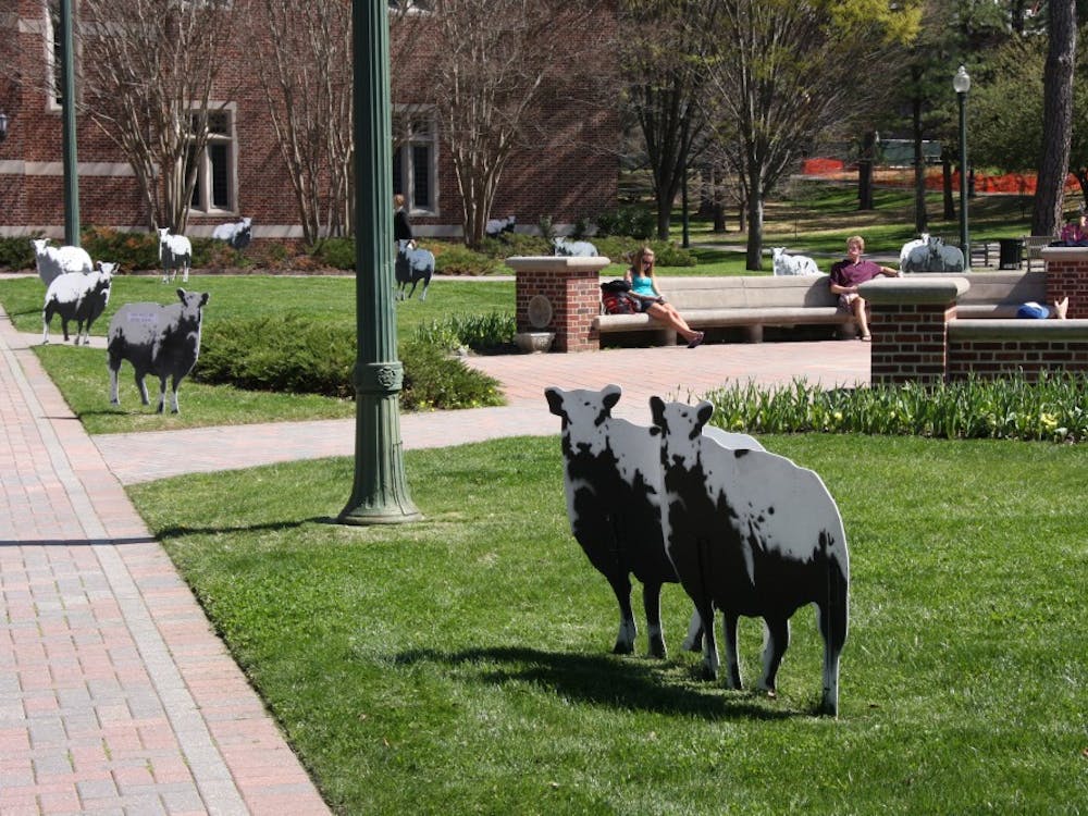 Sheep set up in Jepson Quad
