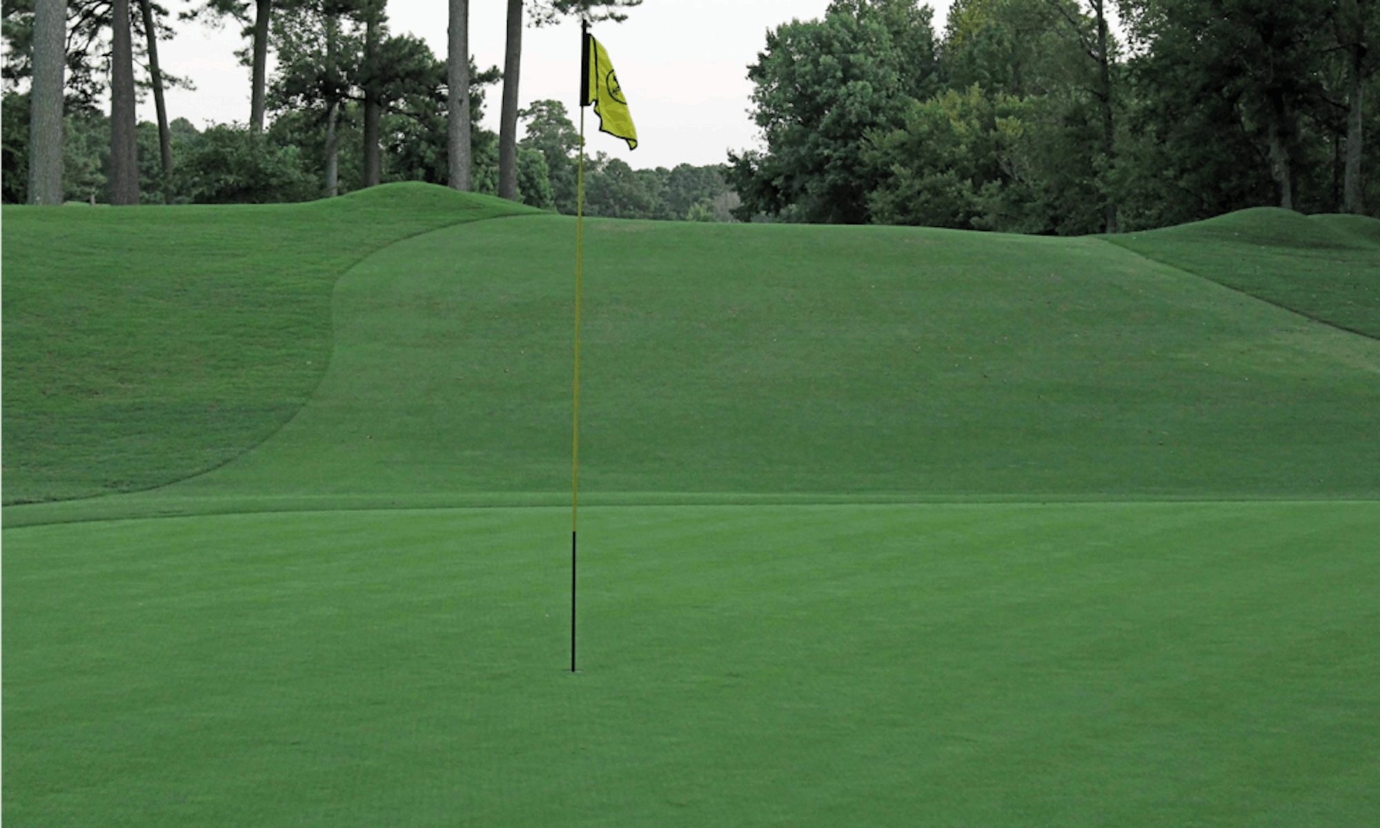 golf-course