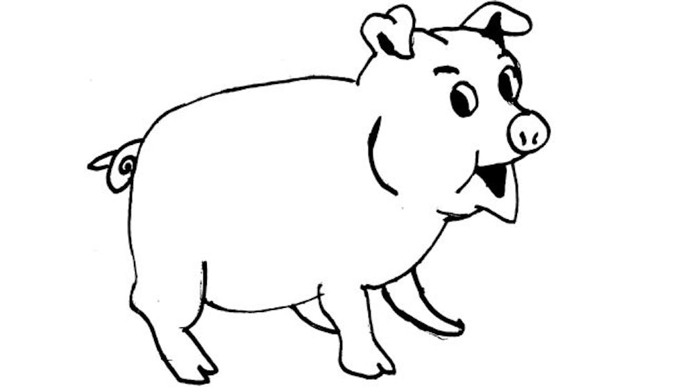 pig