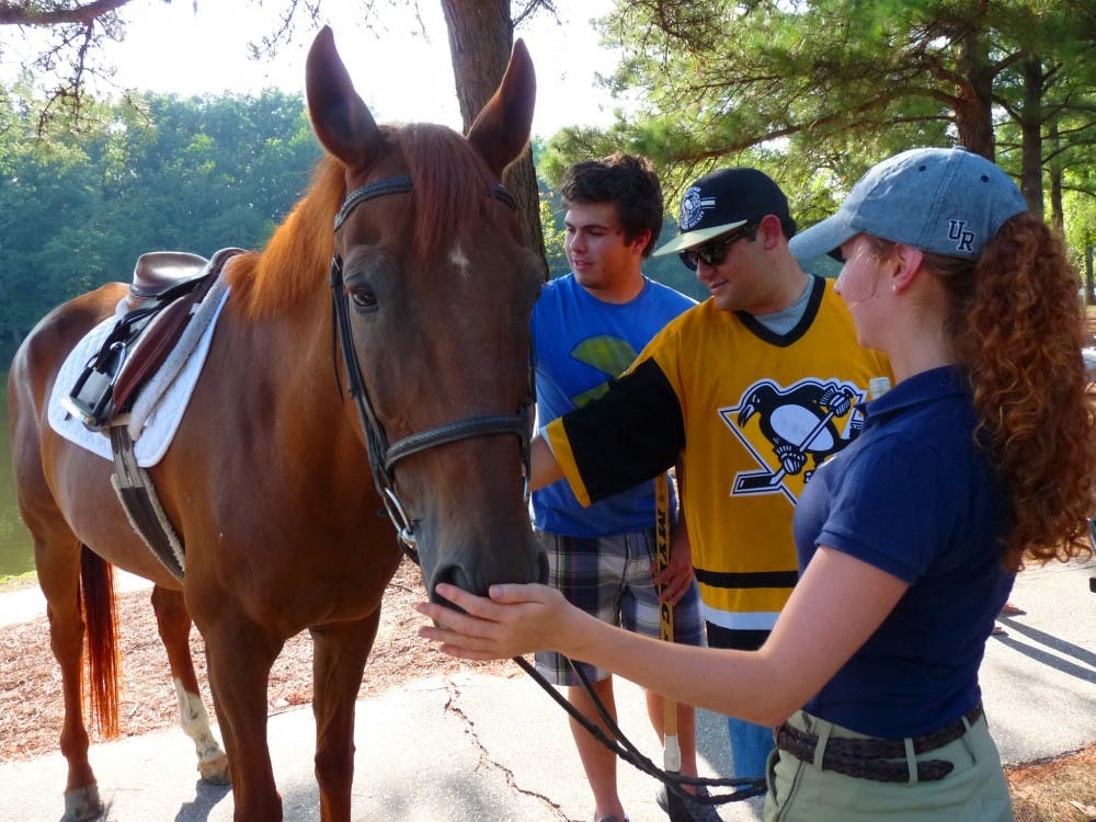 Senior Sara Hagberg of the Equestrian team introduces her horse Sam to two members of the Ice Hockey team   Courtesy Photo