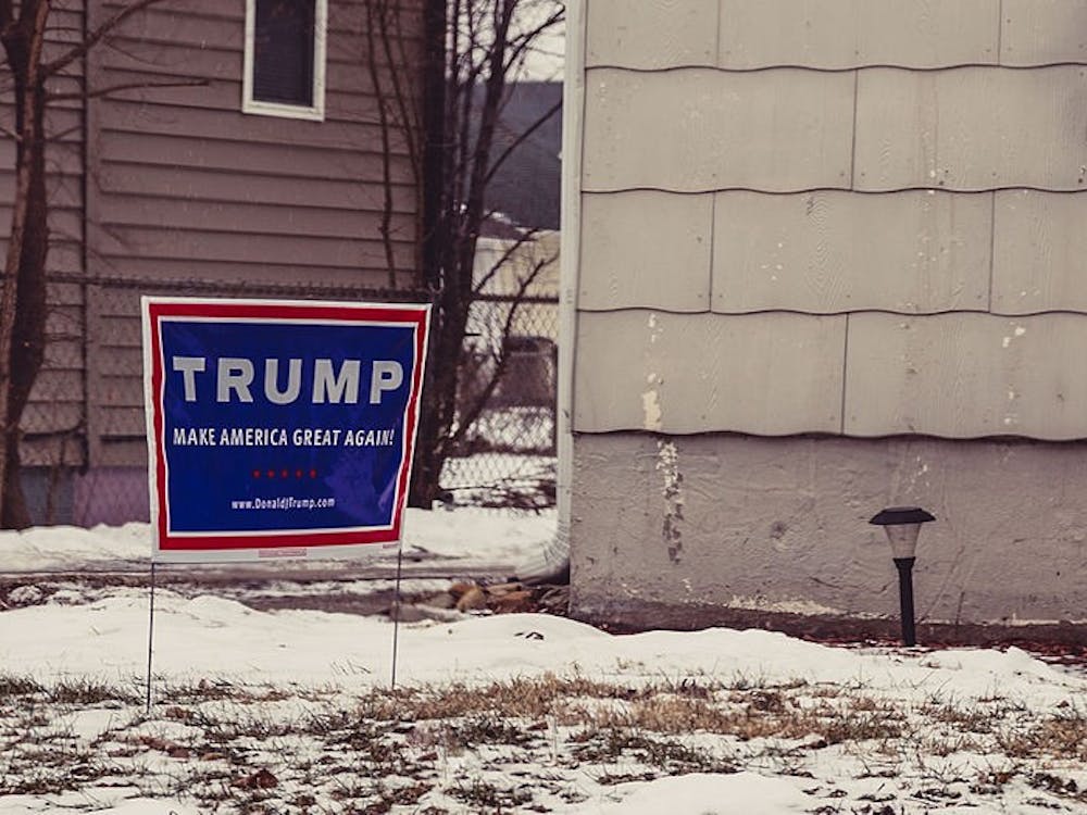 Trump signs such as this one&nbsp;lined my neighborhood when I returned&nbsp;home for spring break.&nbsp;